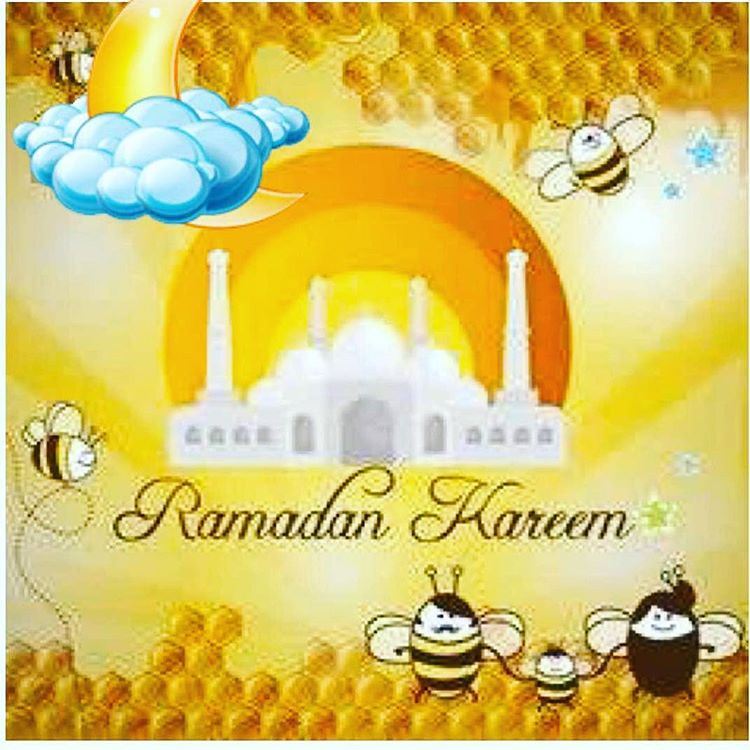 Ramadan Kareem everyone 🐝🌜🍯.. ramadan  fasting  zeethebee  beirut ...