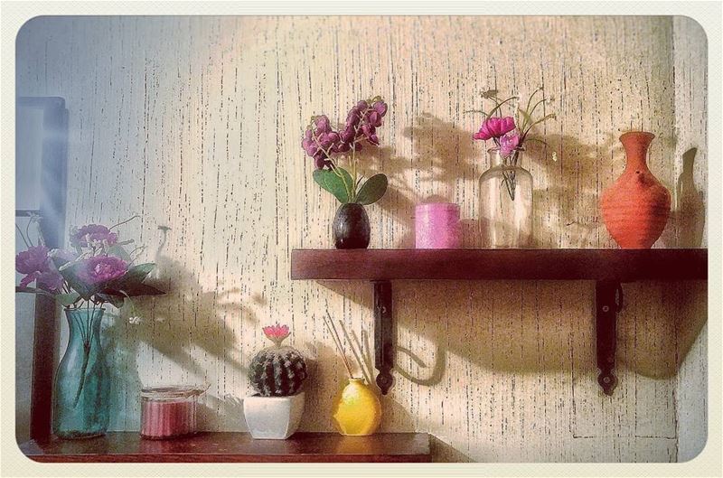 🌵 random  vase  flowers  colors  decoration  wall  shelves  wcpic ... (The Jerry Thomas Experience)