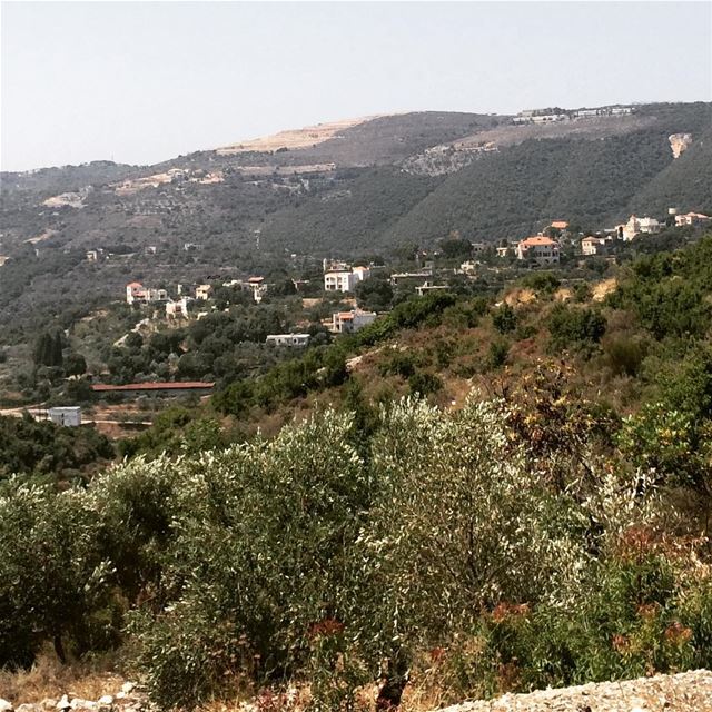  Rashana  north  Lebanon mountains  greenery  olive  tree   fresh  air no...