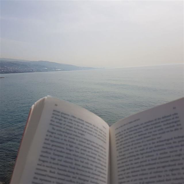 reading is dreaming with open eyes instabook  bookstore  sea pages  mood... (Lebanon)