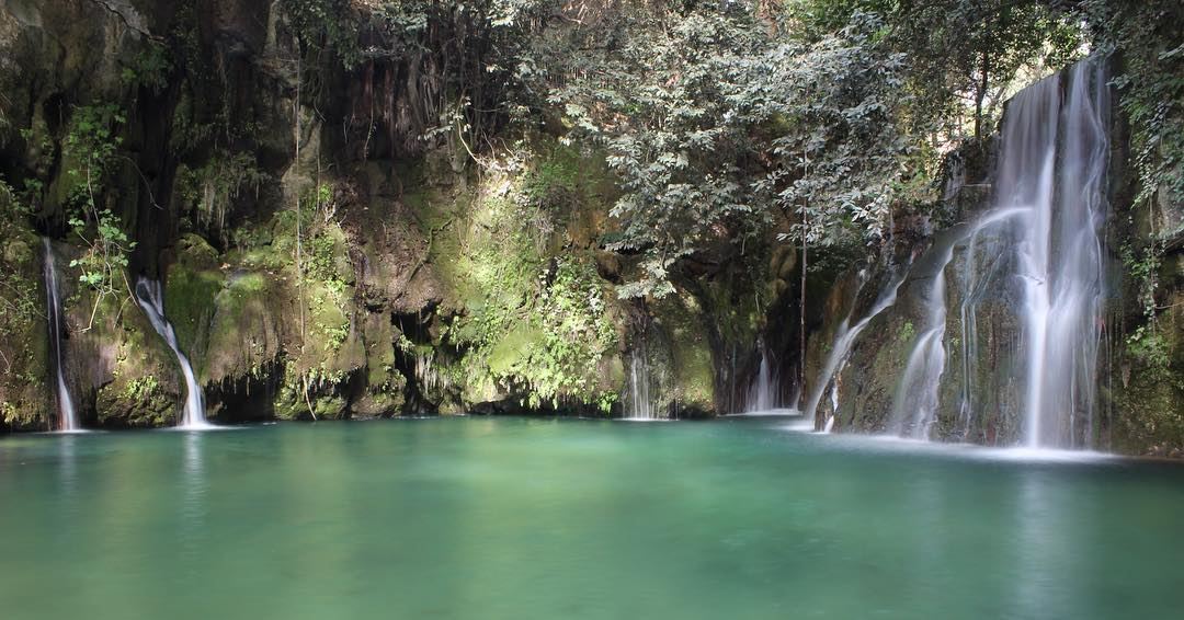 Ready to swim, Waterfalls  water  shallalatalzarka  livelovechouf  tree ... (Shallalat Al Zarka شلالات الزرقا)