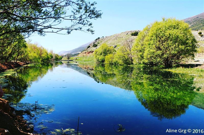 Reflection Perfection 🌳🍃 ammiq  ammiqreserve  hiking  hikingadventures ... (`Ammiq, Béqaa, Lebanon)