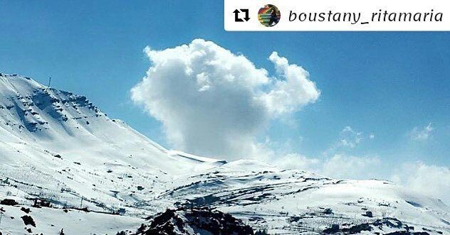  Repost @boustany_ritamaria (@get_repost)・・・Dreaming of a white...