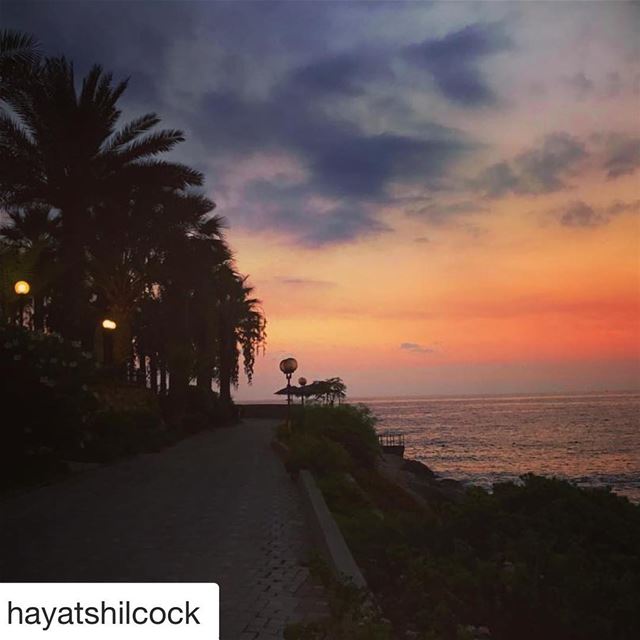  Repost @hayatshilcock with @get_repost・・・That minute after the sun goes...