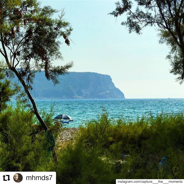  Repost @mhmds7• • • • • •"To escape and sit quietly on the beach - that... (Chekka)
