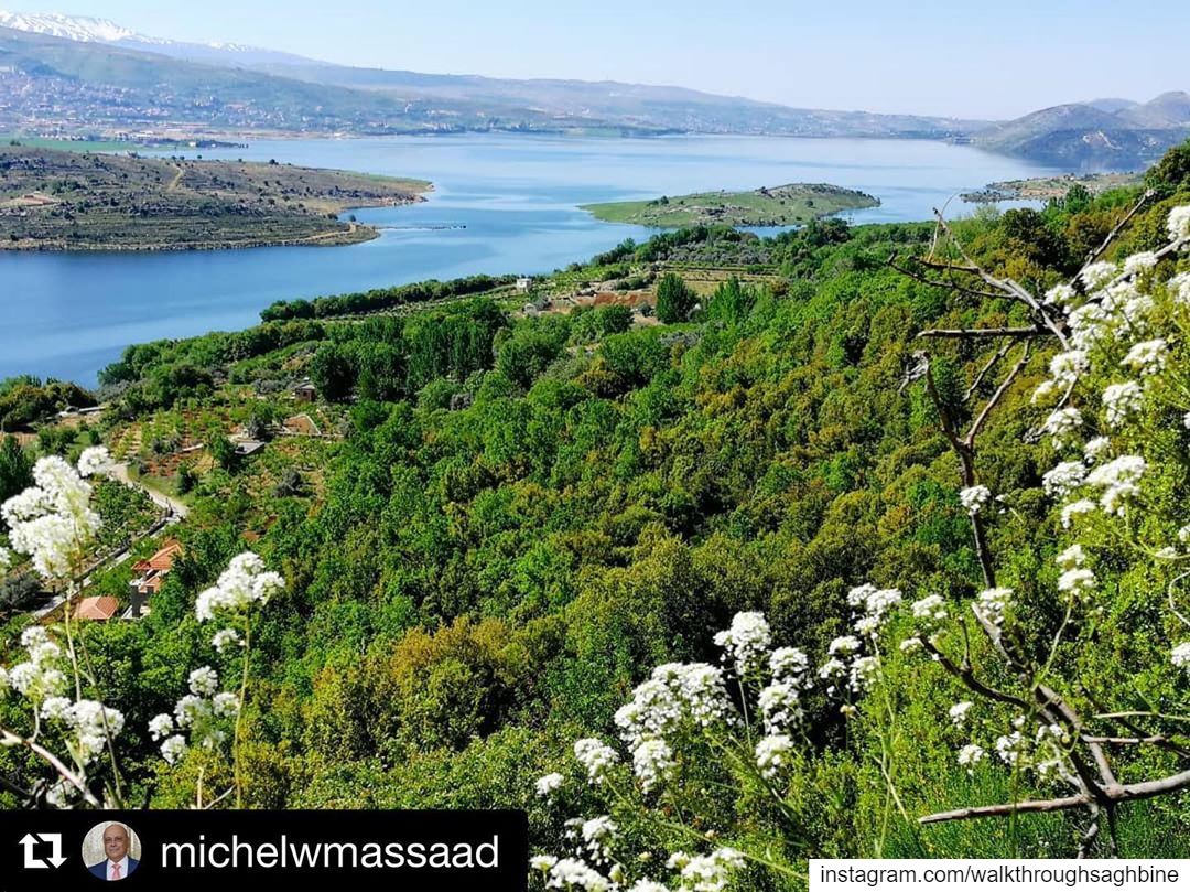  Repost @michelwmassaad ・・・ Saghbine lake springnature  livelovebekaa ... (Saghbîne, Béqaa, Lebanon)