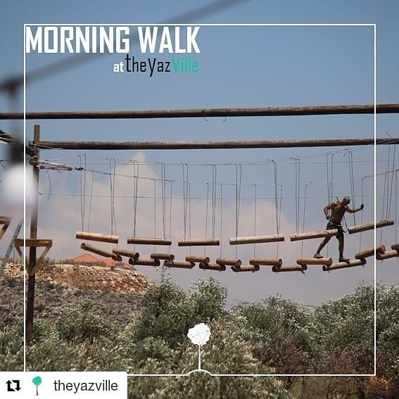  Repost @theyazville (@get_repost)・・・Early Morning Walk @theyazville ...
