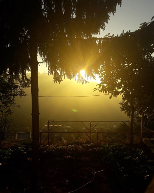  repost @txasswad...tags : sunset  welcometolebanon🇱🇧 ... (Chouaya, Mont-Liban, Lebanon)
