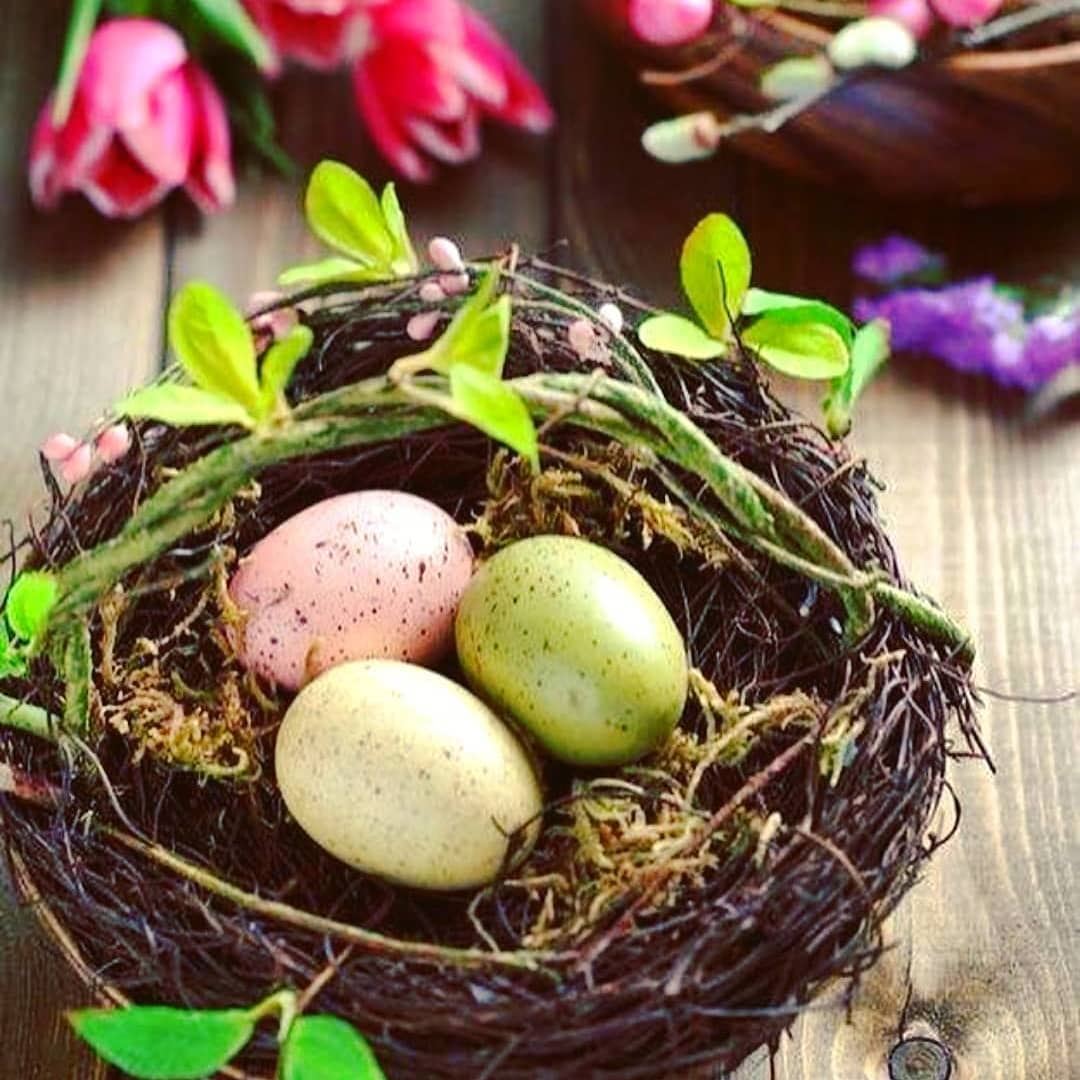 repost via @instarepost20 from @mondanite  Easter  eggs for a  HappyEaster... (Lebanon)