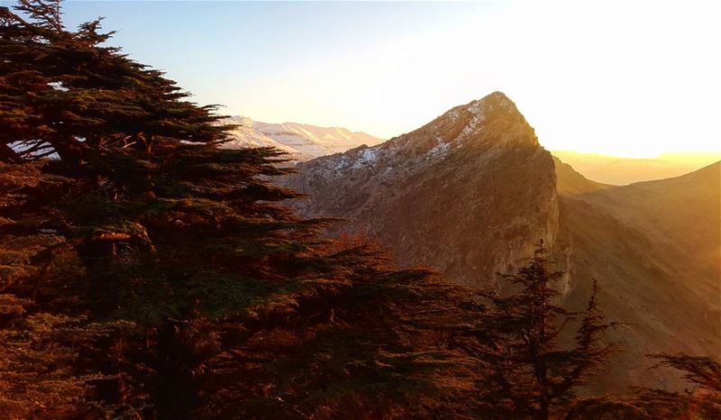 Retracting sun rays leave behind magic.  Lebanon  Cedar  sunset  mountain ... (Cedar Reserve Tannourine)
