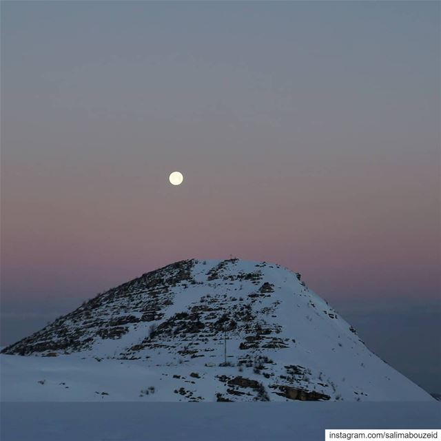 Rising under the moonlight 🌠--------------------------------------------- (Qanat Bakish, Mont-Liban, Lebanon)