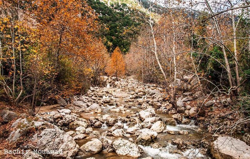  river  valley  autumn  hiking  kfardebian  wadialsalib  nikon ...