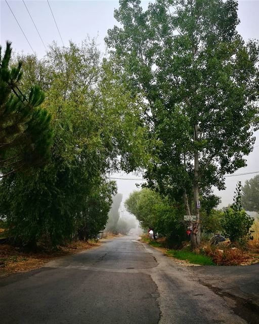 road trips 💜 roadtrip  Lebanon  liban  mountains  trees  frommycar ... (Lassa, Lebanon)