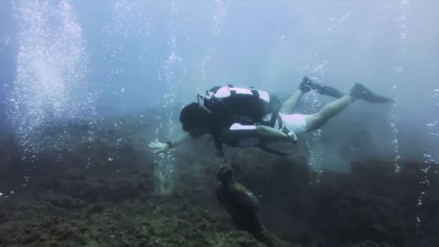 Rolling the deep... sketch from my  diving  video shot in  beirut  lebanon...