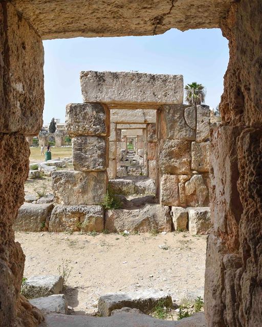 Roman forum, Tyre proudlylebanese  beautifullebanon  livelovebeirut ... (Tyre, Lebanon)