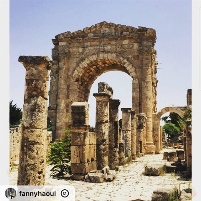 "Roman ruins - Tyre - Lebanon  southlebanon  tyre  lebanon  roman_ruins ...