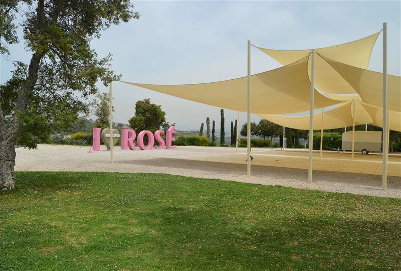 Rosy Rosé Roses etc. wheremyshoeslead. ShadeSails  RoséLovers  Ixir ... (Ixir Winery)