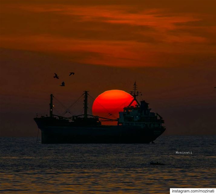 Sail into the sun.. 😍💕 ========================================... (Saïda, Al Janub, Lebanon)