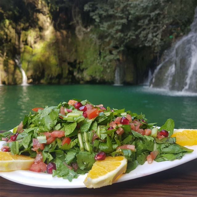Salad anyone ??📞📞Reserve now on 03560301.. lebanon  freshview ... (Shallalat Al Zarka شلالات الزرقا)