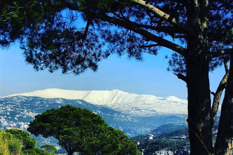 Sanine mountain from Beit mery - Lebanon by @afpphoto 🗻🇱🇧 🌲  lebanon ...