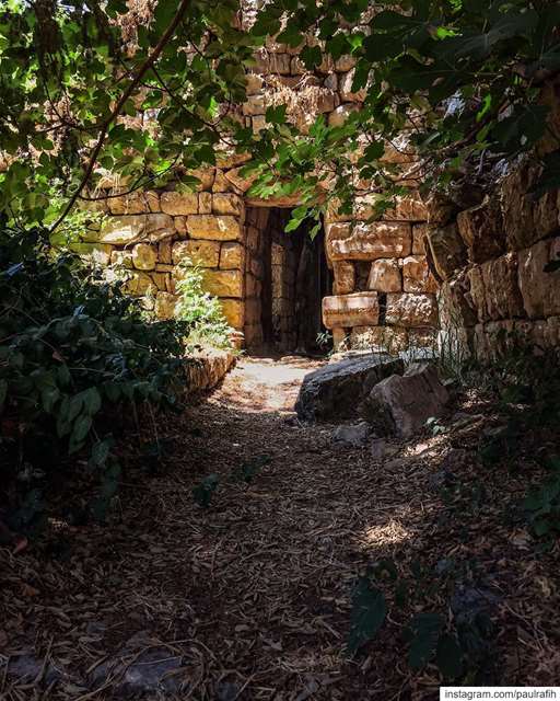 Scattered stones of stories untold... exploremore  hidden  gems ... (Lebanon)