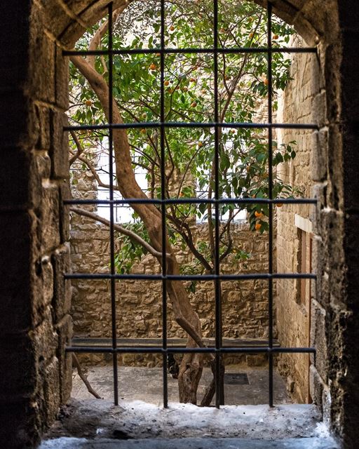 Secret Garden. There we were, deep in Sidon’s sandstone labyrinth, when I... (Saïda, Al Janub, Lebanon)