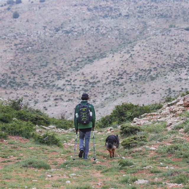 Share the world you love with the ones you love. 🚶🌏🐕  mikesport   dog ...