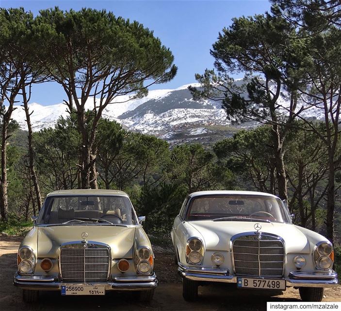 Sisters.•.•.•. MercedesBenz  SClass  W108  W111  Vintage ... (Lebanon)