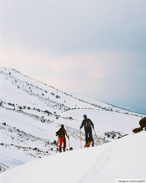 Skitouring the North of Lebanon 🇱🇧.... backcountryskiing... (North Governorate)