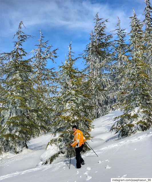 Snow adventure ❄️ (Faraya, Mont-Liban, Lebanon)