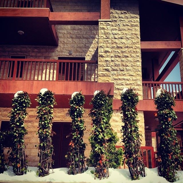  snow hat trees mzar intercontinental Lebanon...