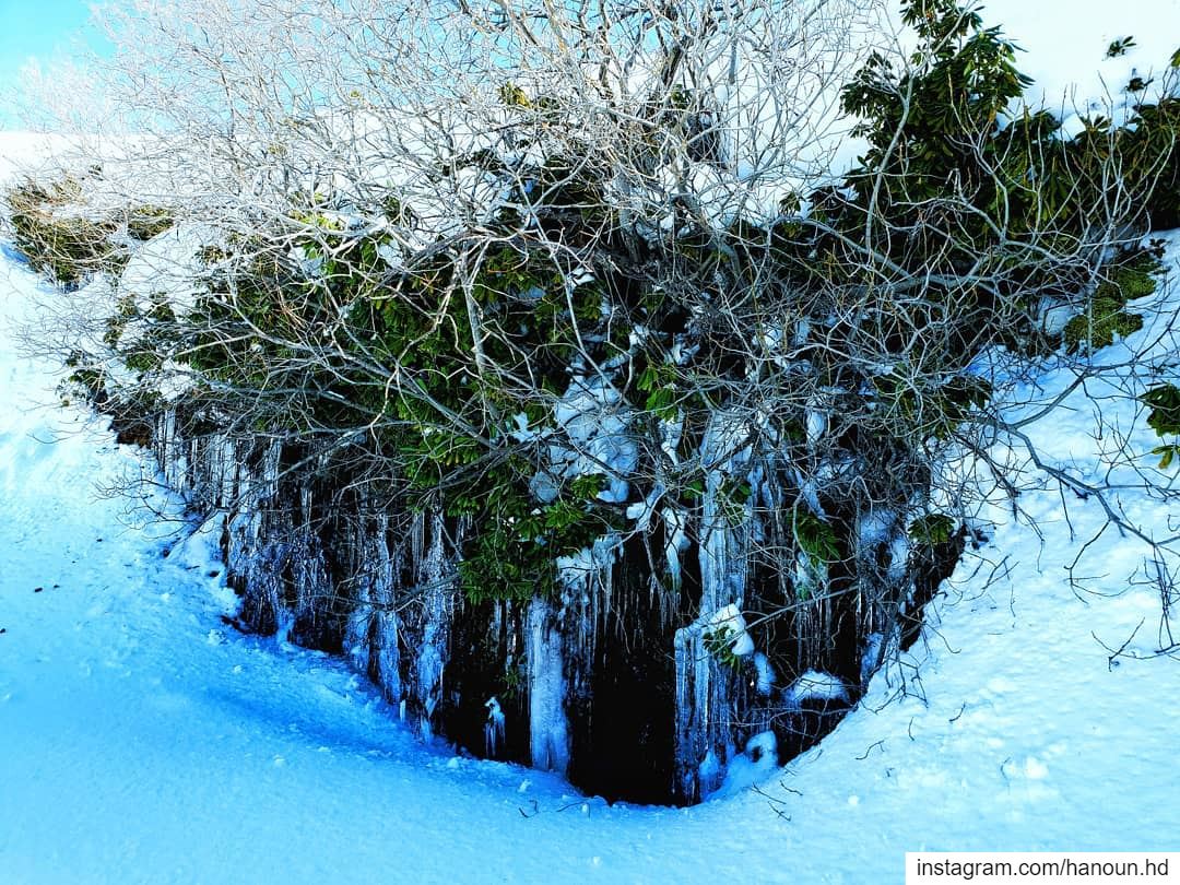  snow  ice  green  white  blue  sannine  sanninemountain ... (Mount Sannine)