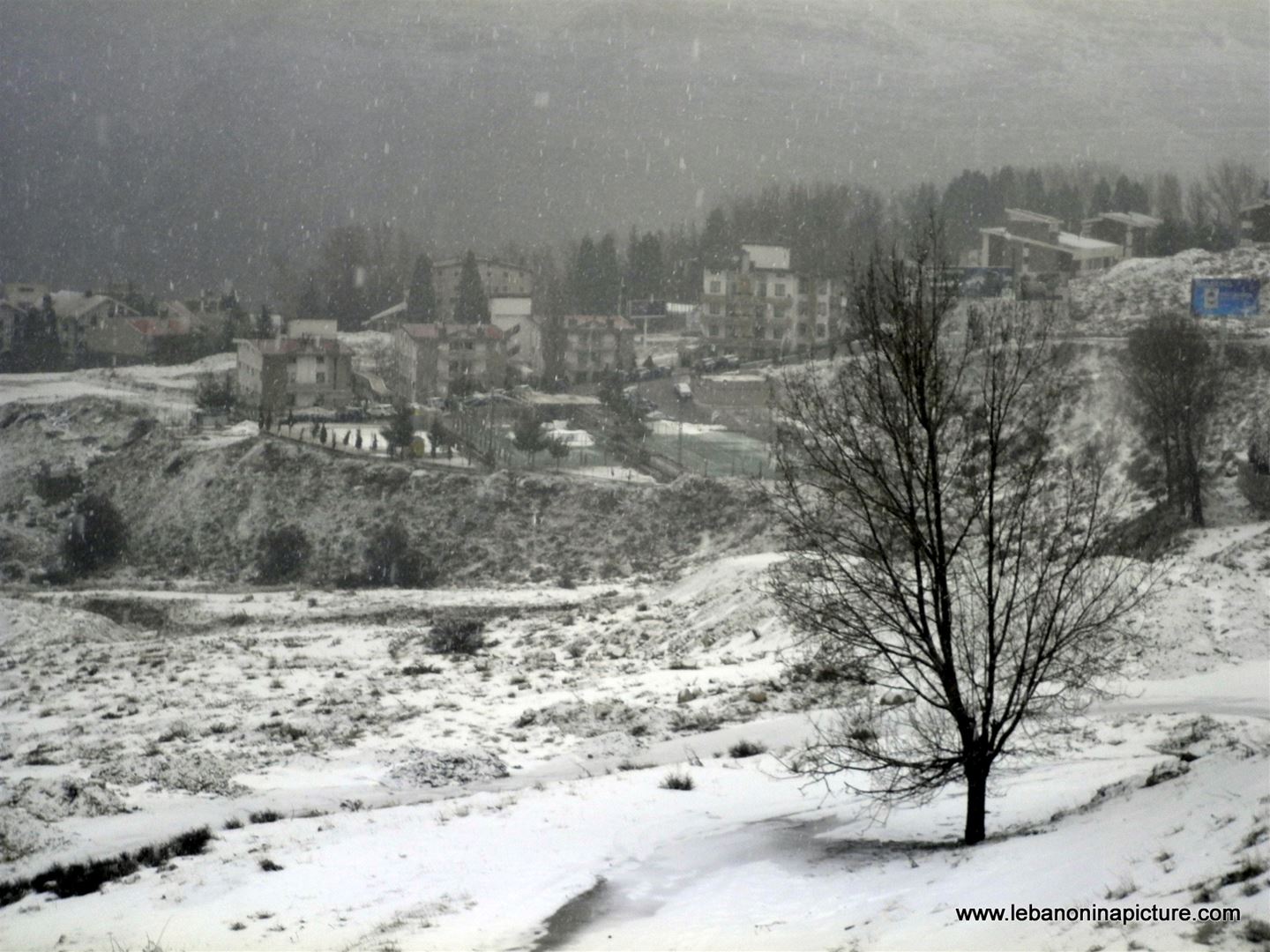Snow in Faraya February 2011