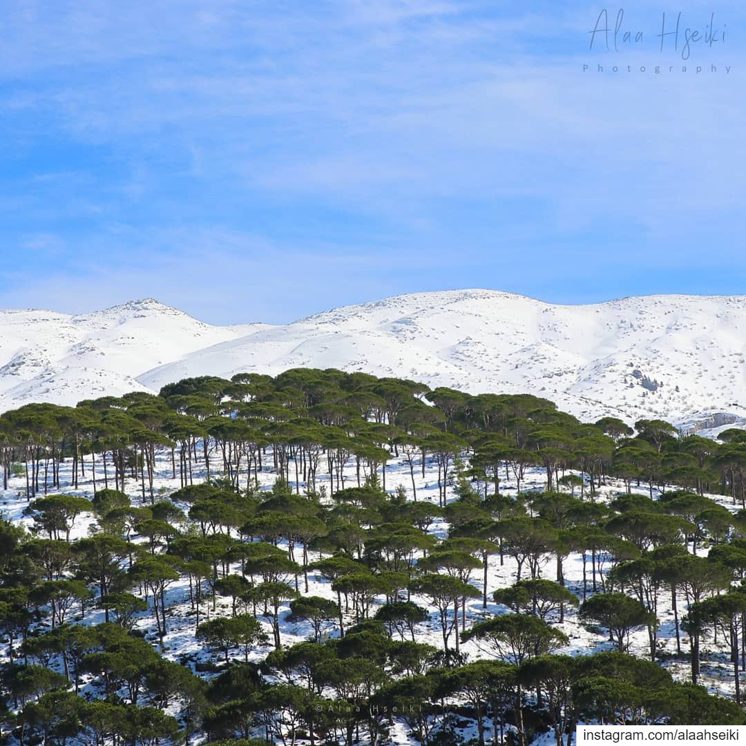 Snow is Magic ❄️... Lebanon  lebanese  Hseiki  menwithexplore ... (Aïn Zhalta, Mont-Liban, Lebanon)