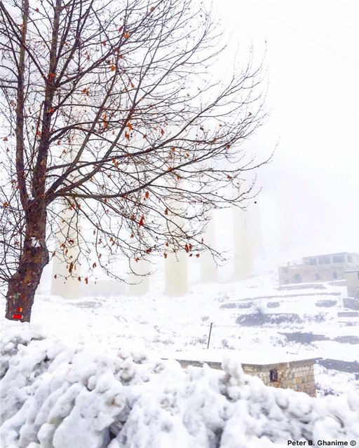 Snow provokes responses that reach right back to childhood ⛄️  december ... (Dahr El Baydar)