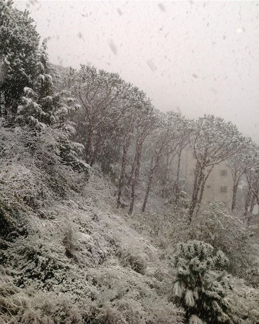 Snowflakes are kisses from heaven ❄️  travel  Travelgram   instatravel  ... (Lebanon)