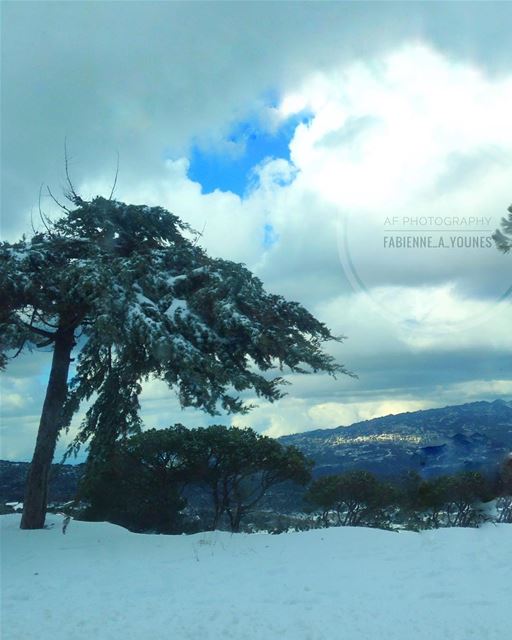 Snowflakes are like kisses from heaven ☃ mountains🗻  autofocusphotography... (Dhour El Chweir)