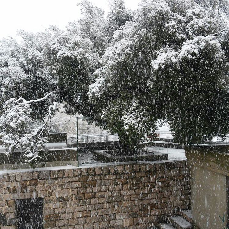 Snowing (Wadi el Karm)