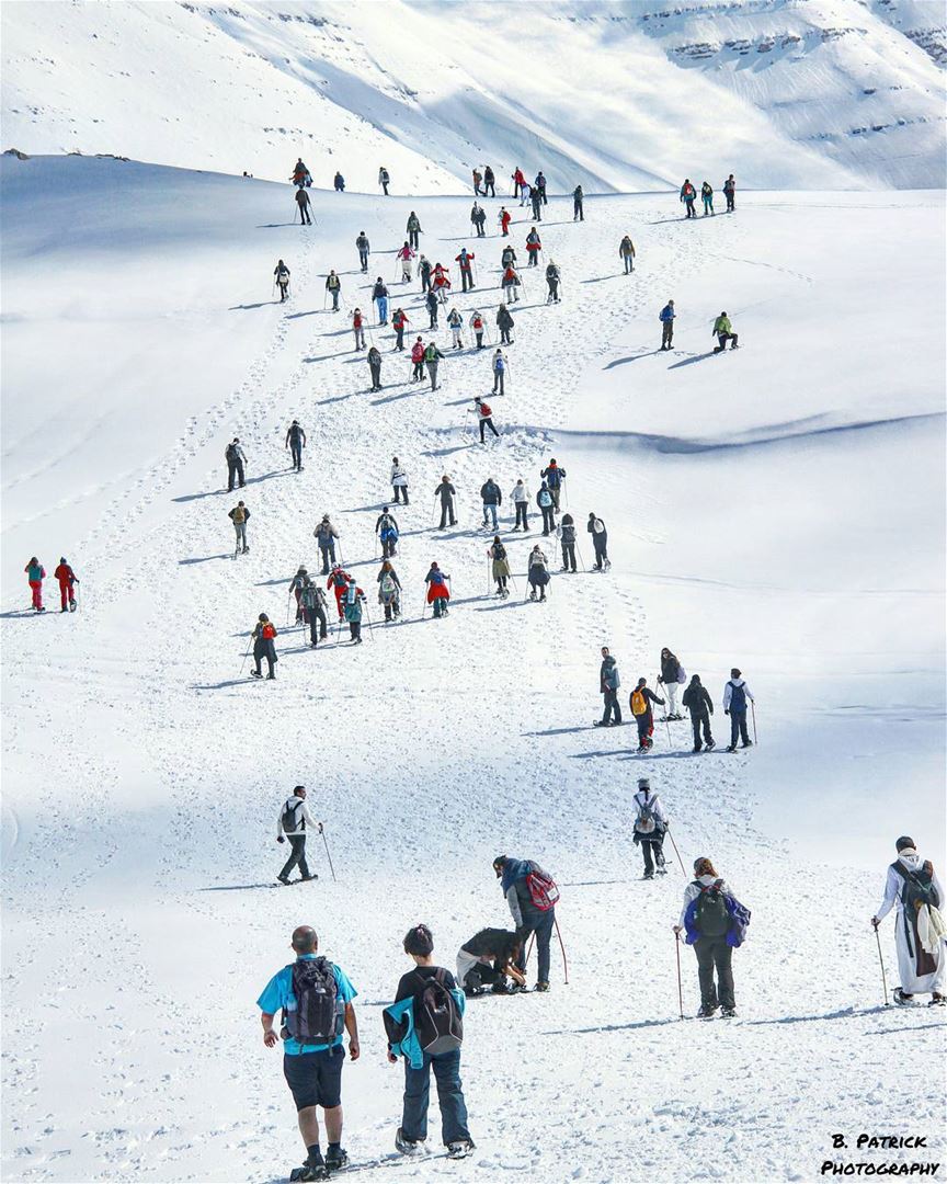  snowshoeing  LebanonGo out and leave your  footprints  everywhere!👣..... (Qanat Bakish, Mont-Liban, Lebanon)