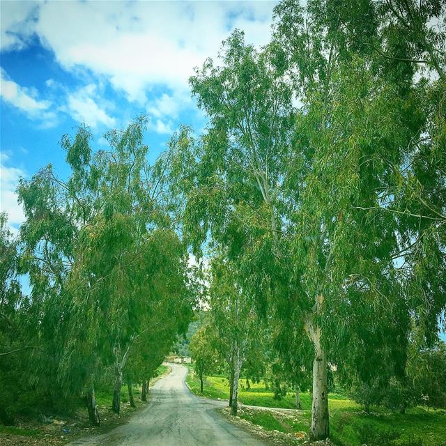Some beautiful paths can’t be discovered without getting lost.Erol Ozan... (Kafr Hata, Liban-Nord, Lebanon)