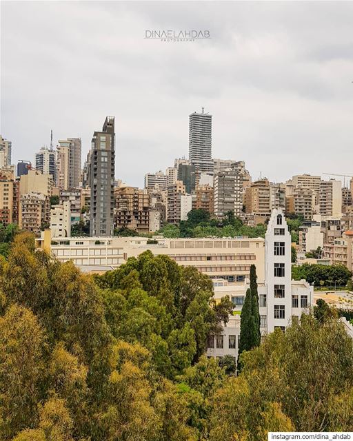 Someone is accidentally planting buildings 👀__________________________... (Beirut, Lebanon)