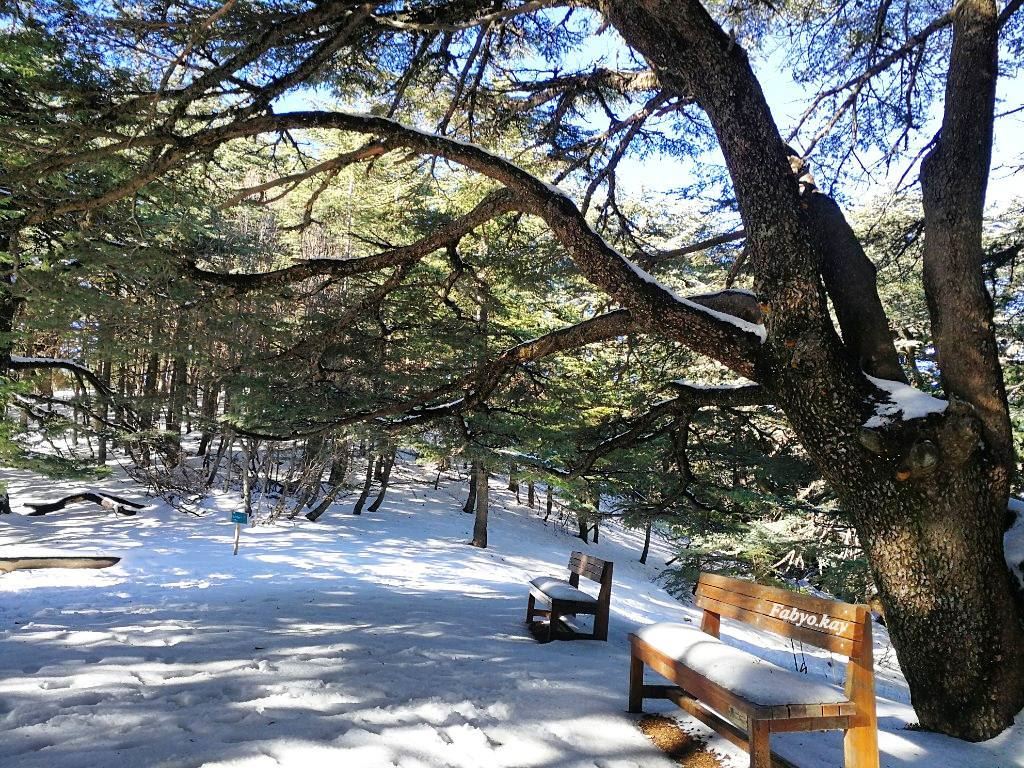 Sometimes, you just need a break. In a beautiful place.❄️☃️❄️⛄... (Arz el Bâroûk)