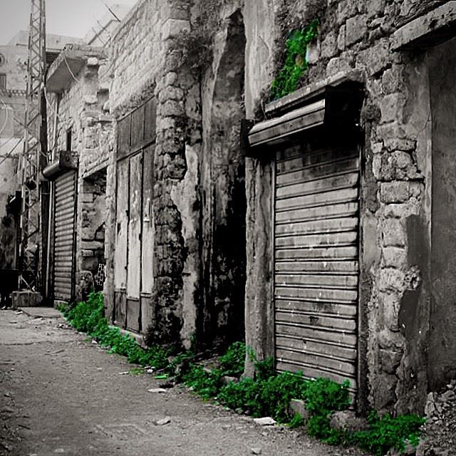  South  Lebanon  old  Saida  souks  after  war  abandoned  street  igers ...