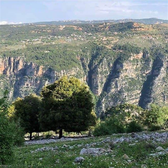 Spend your First Day of December in  JabalMoussa ! unescomab  unesco ... (Jabal Moussa Biosphere Reserve)