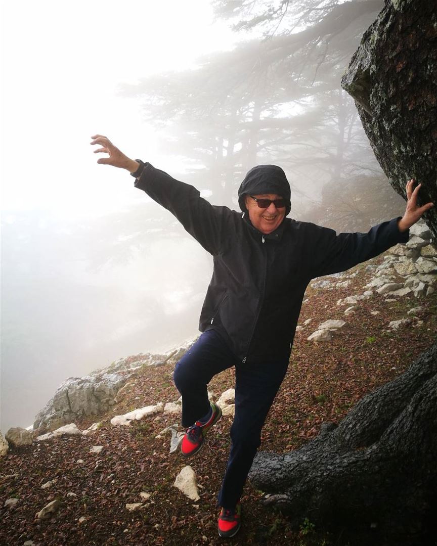 SPOOKY ME at The Cedars in the Fog of Lebanon lebanoninapicture  ... (Arz el Maasser)