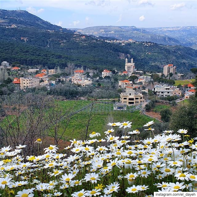 Spring a lovely reminder of how beautiful change can truly be.❤... (Jezzîne, Al Janub, Lebanon)