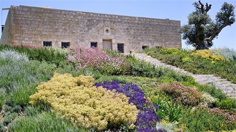 Spring at a Winery in the Lebanese Countryside love  beautiful  spring ...