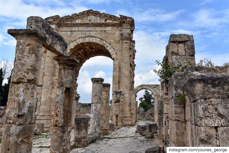 Spring at the Forum of Sour (Tyre)See more of my pictures at: https://geo