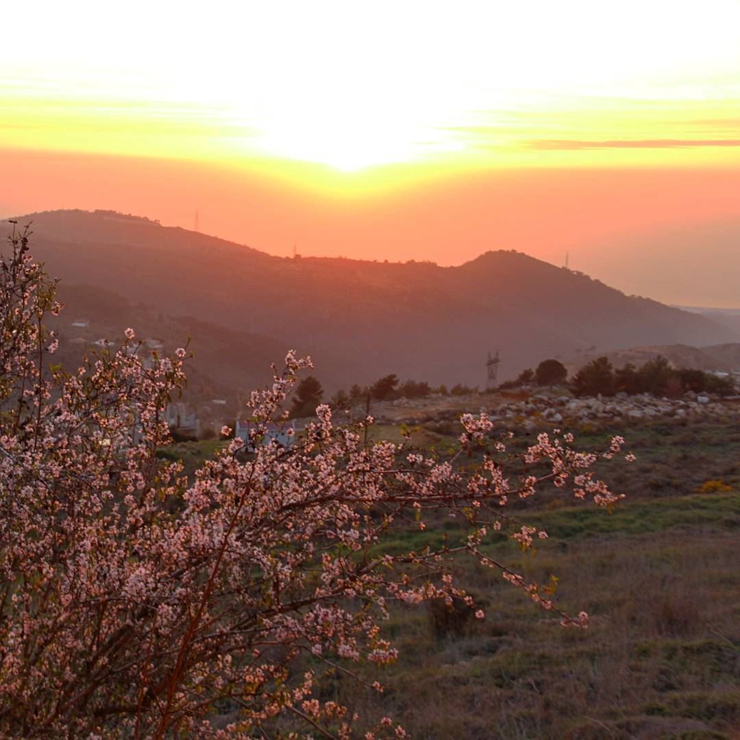 Spring came early this year 🌄🌸..... livelovebeirut  wearelebanon ... (Kafr Mattá, Mont-Liban, Lebanon)