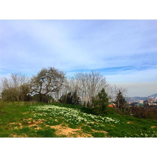 Spring is here 💙💚🍀☘️  spring  welcomespring  lebanon  nature  instapic ... (Aïn Aâr, Mont-Liban, Lebanon)